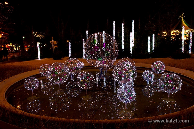 Paris 12-26-09 image 45